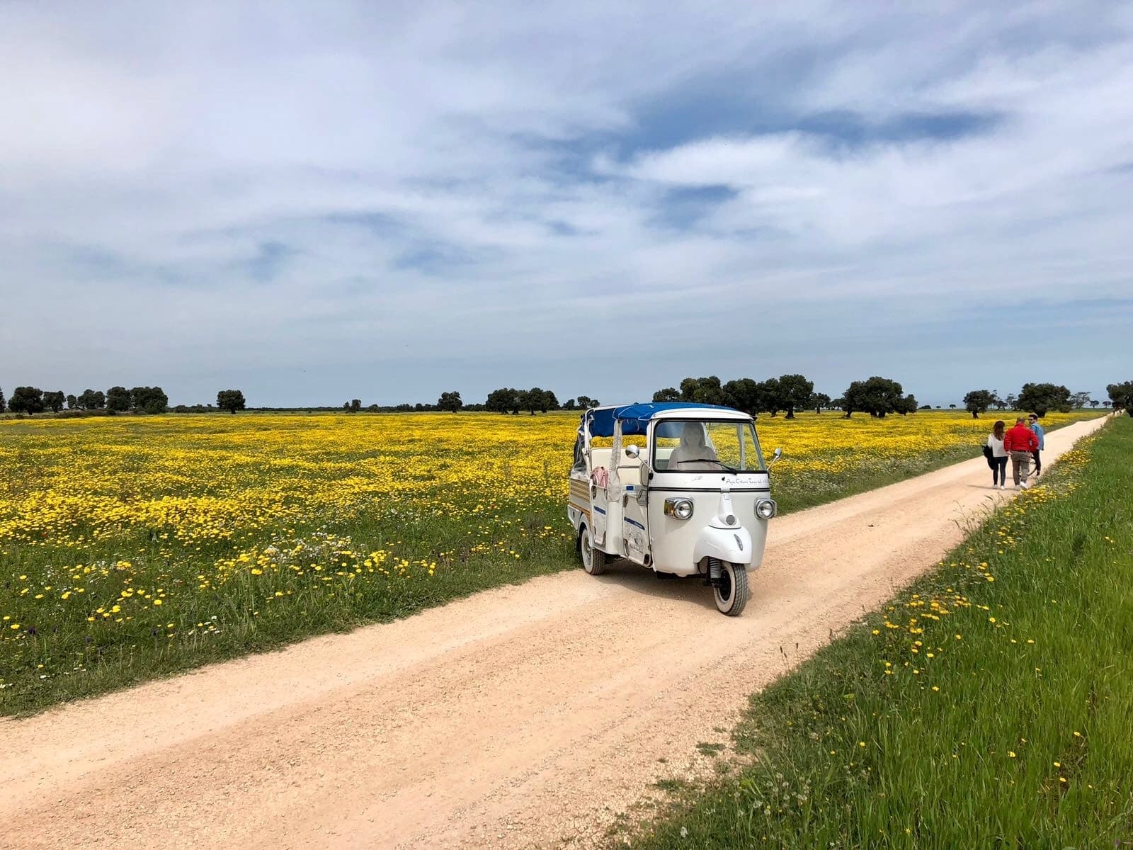 Tour Parco Naturale Dune Costiere