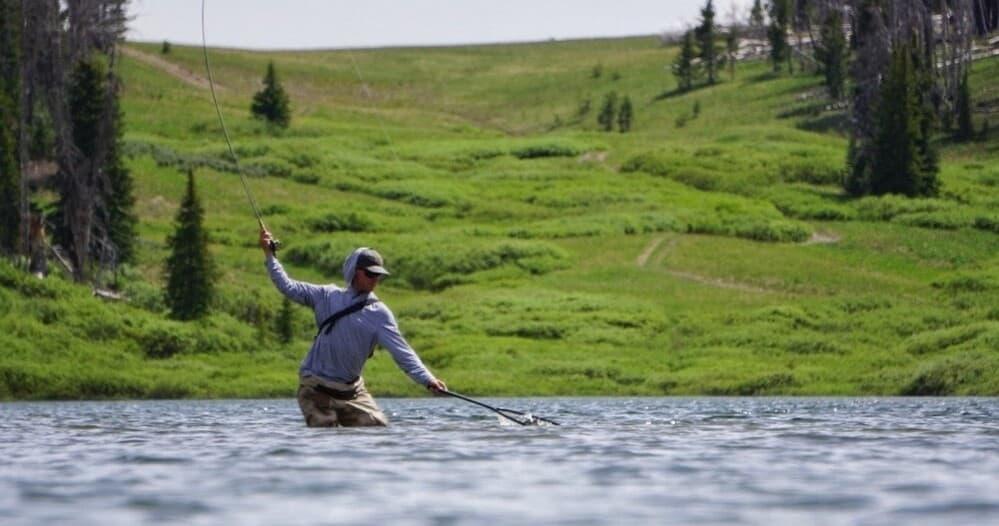 Walk Wade Fly Fishing Trip (Full Day)