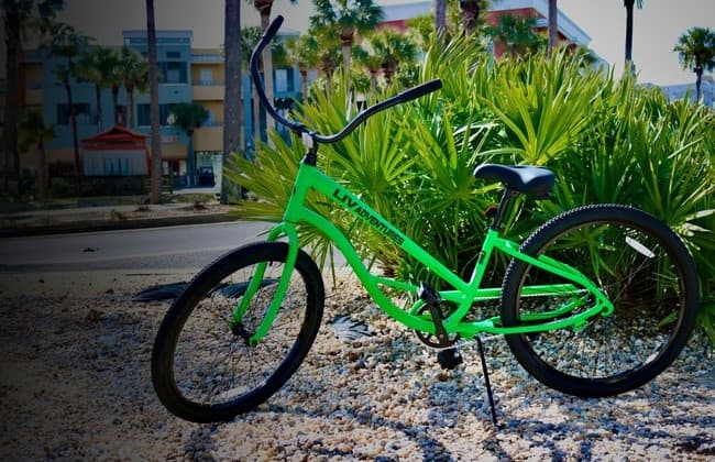Fourteen Day Bicycle Rentals