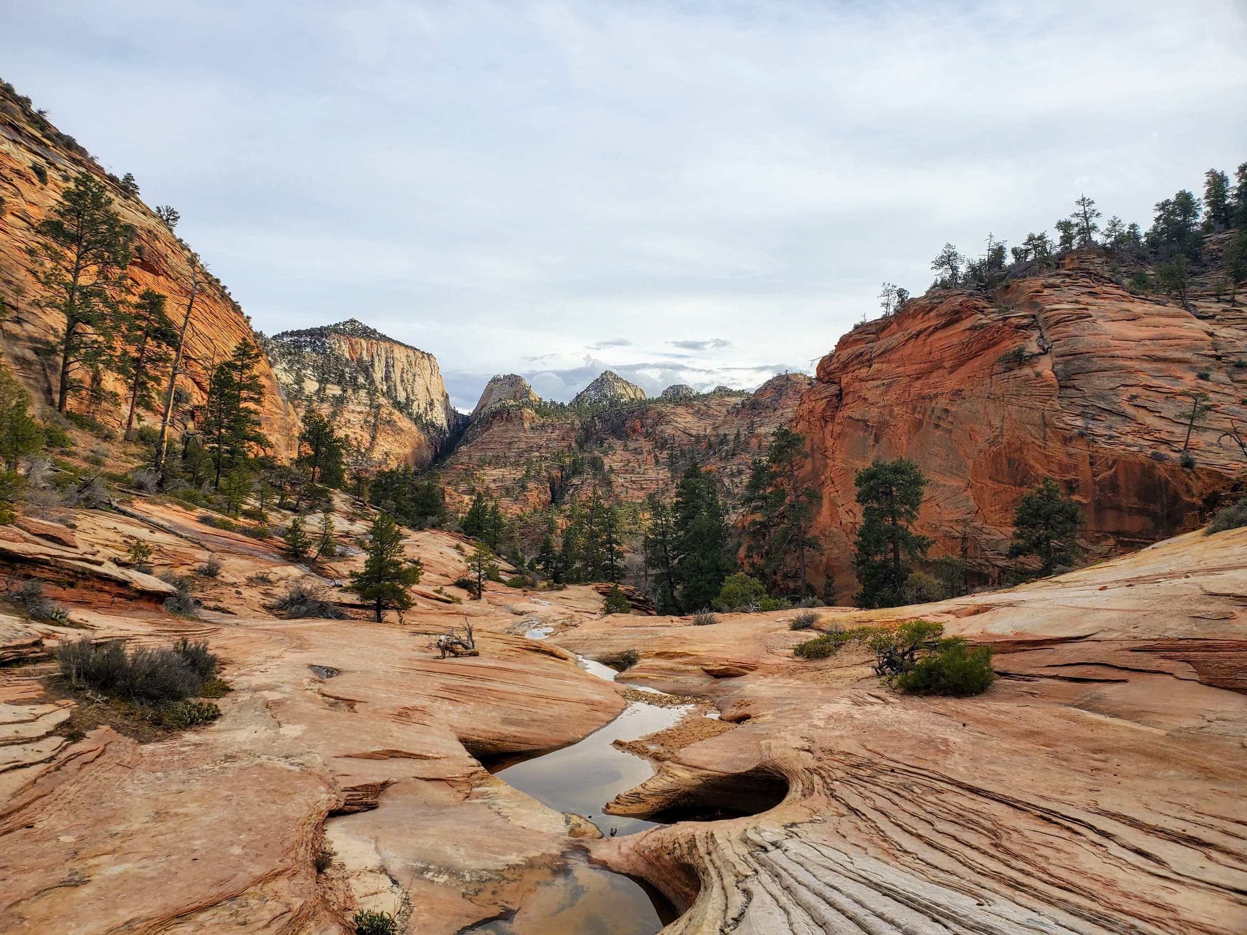 Departing Shuttle: Zion Ponderosa Resort (ZPR)