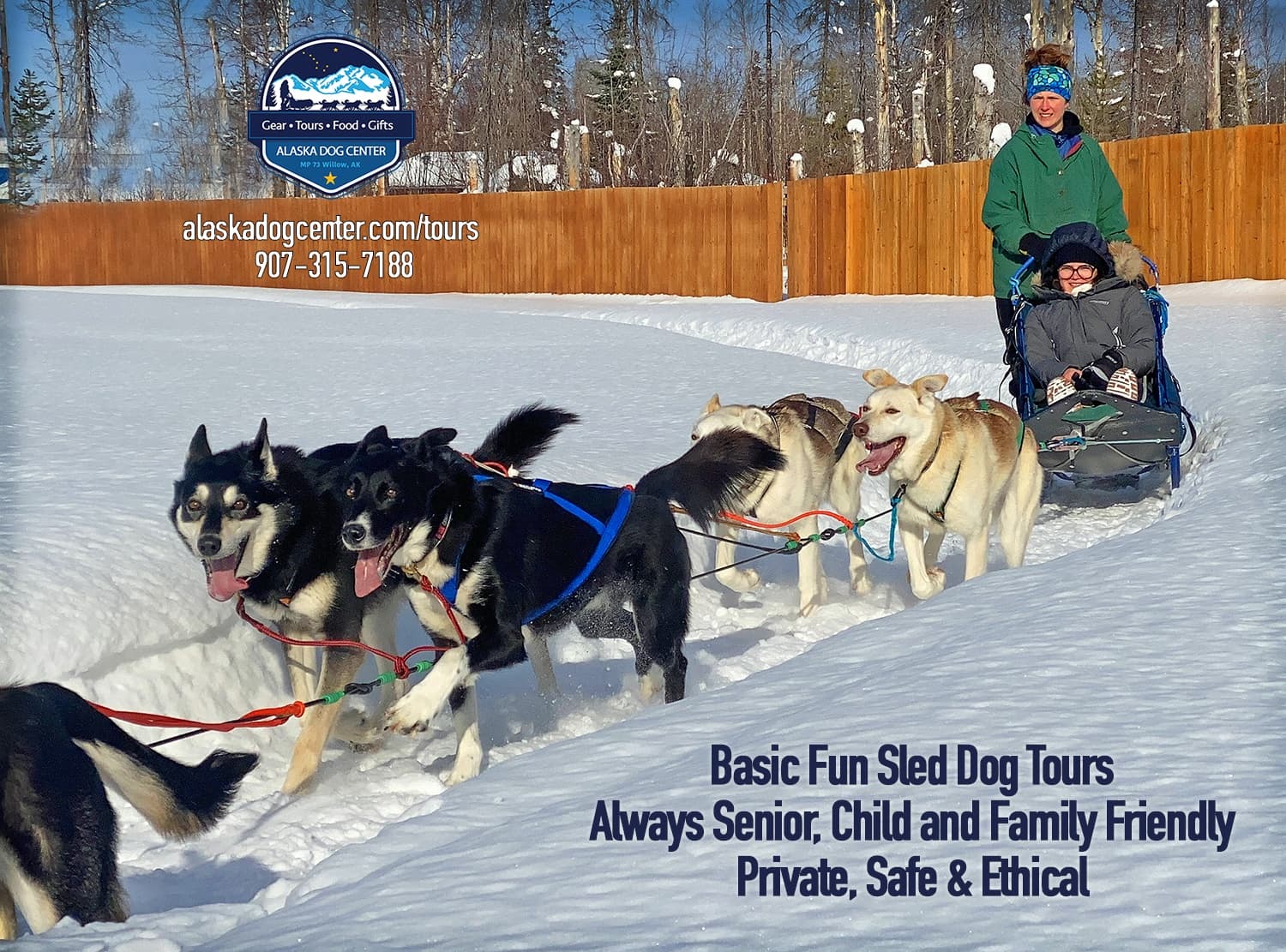 Basic Kennel Tour