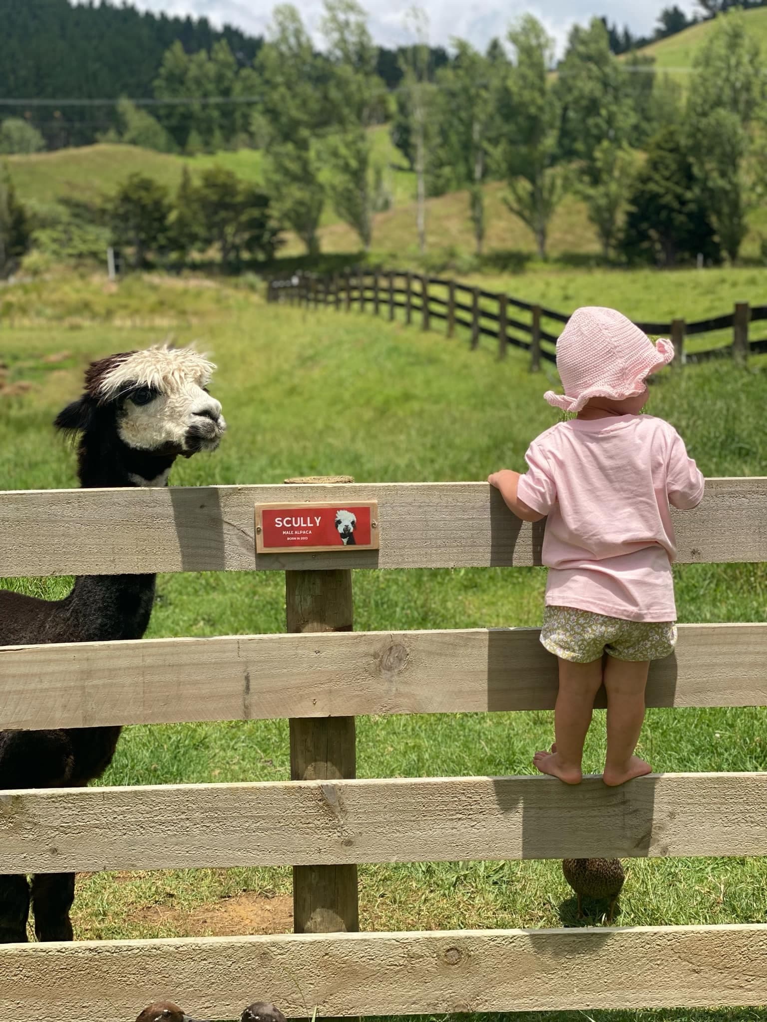 Birthday Party Package - Farm Entry