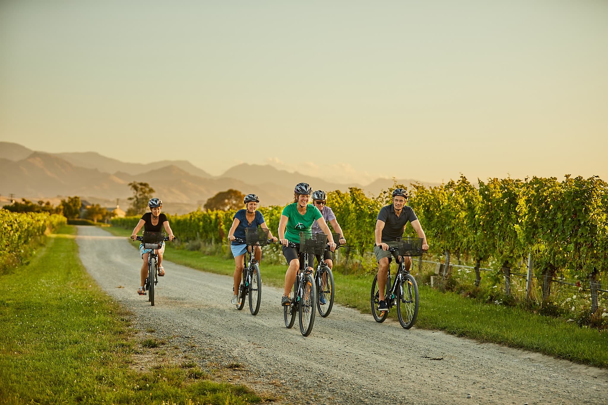 Deluxe Guided Biking Wine Tour - Half Day