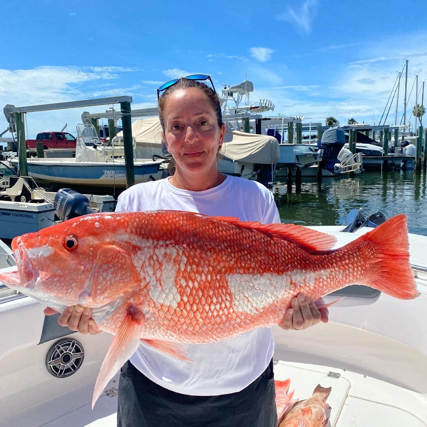 302 Robalo Offshore Fishing: Up to 60 Miles