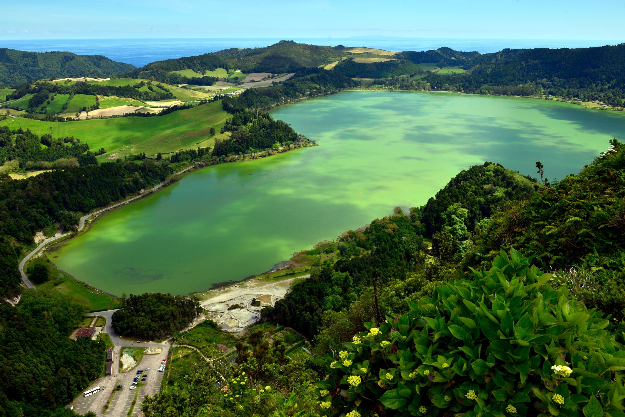 São Miguel island - Get to know Furnas like the locals in a full day van tour