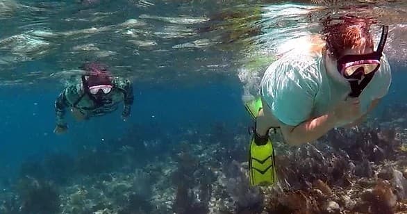 Snorkeling