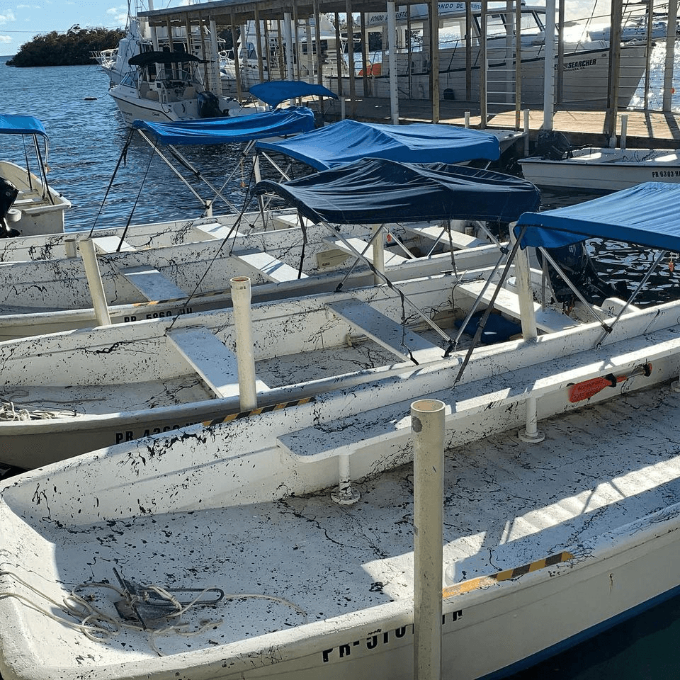 Boat Rental for 10
