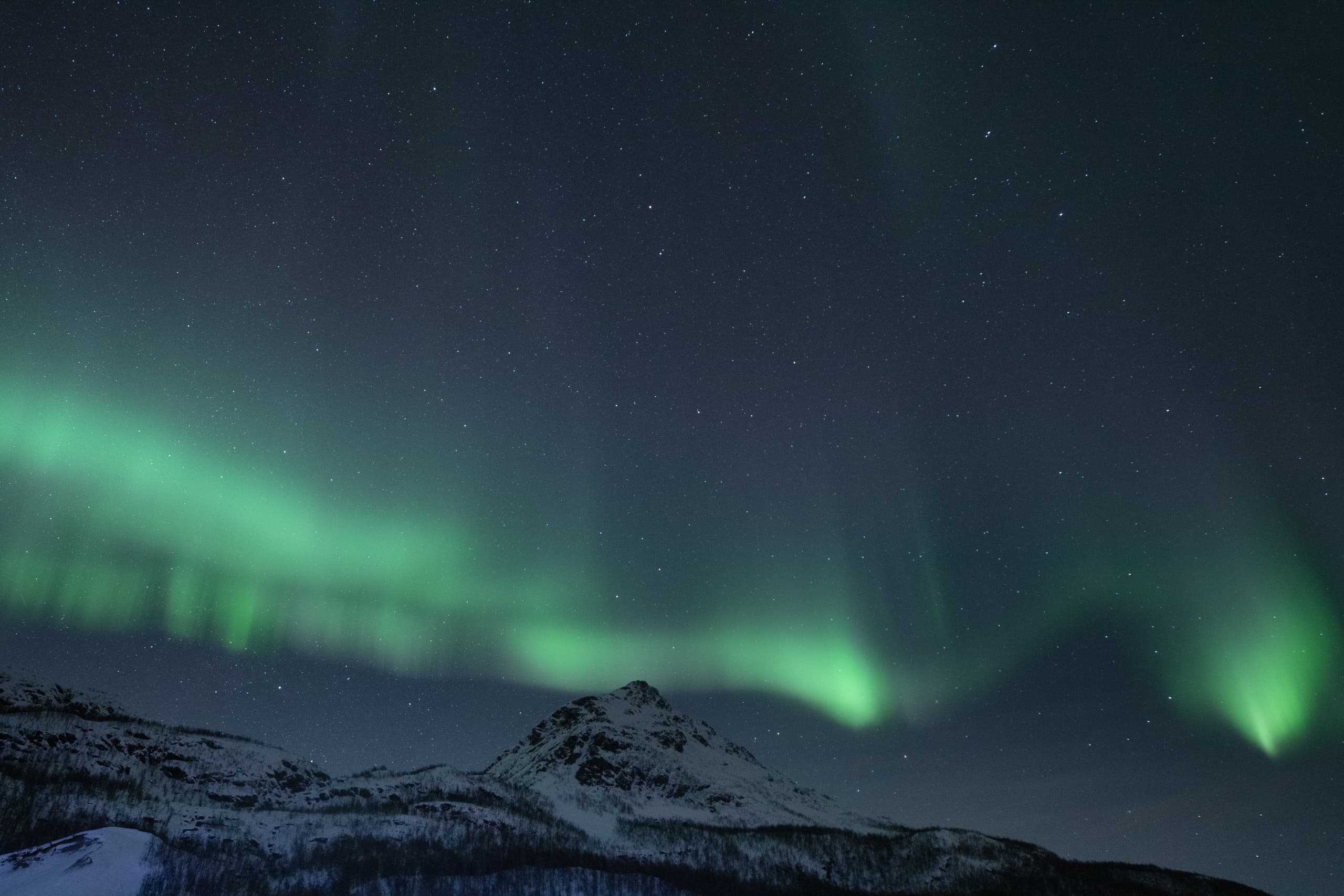 Privado - Caza de Auroras