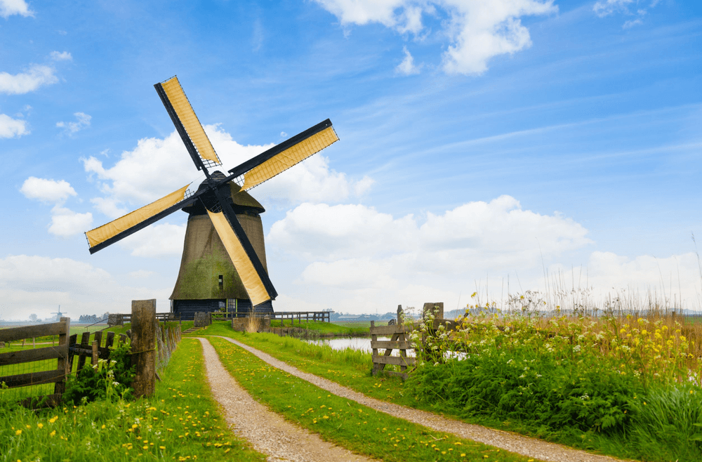 Windmill Picnic Biking Tour