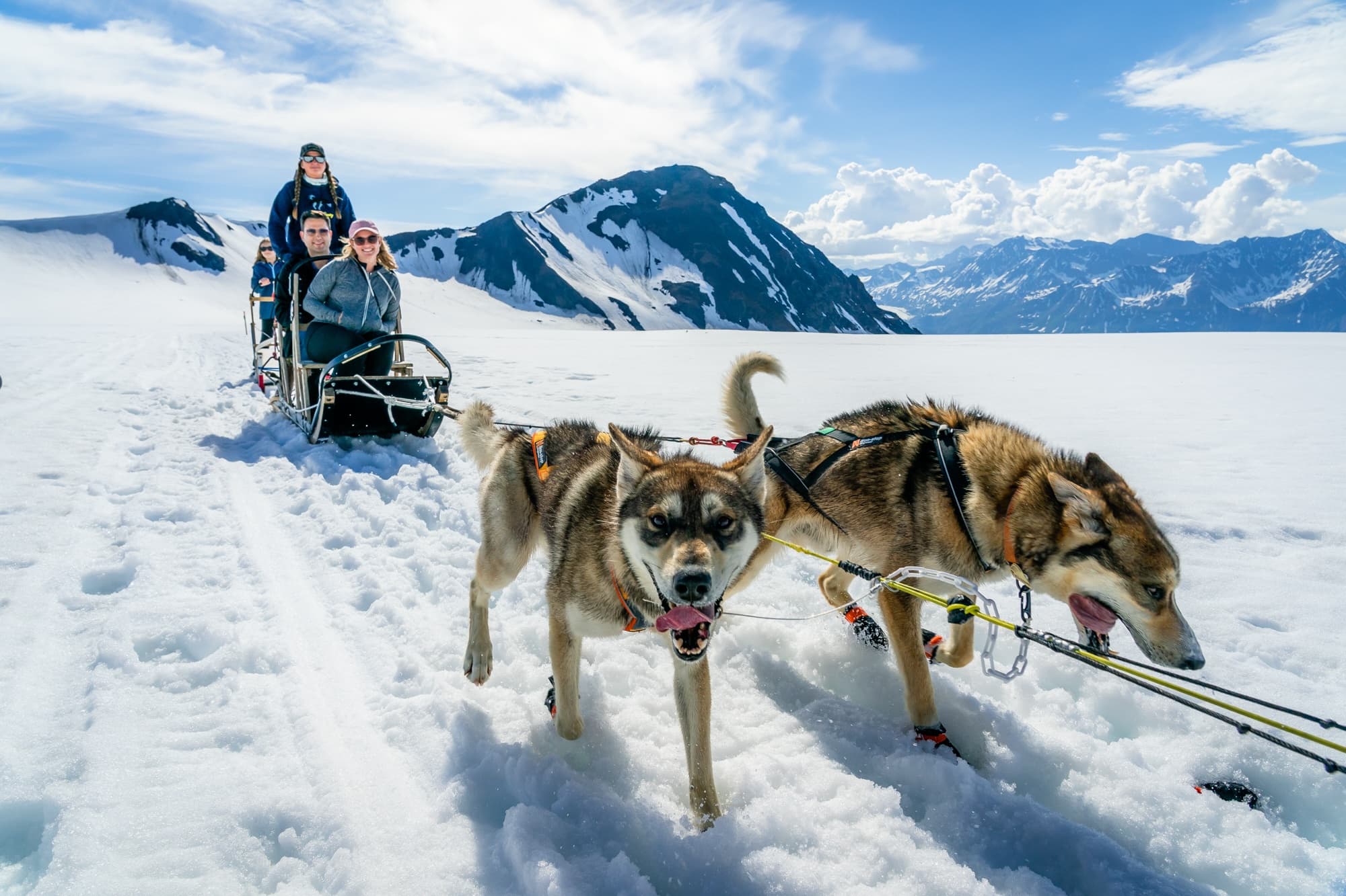 Helicopter and Glacier Dogsled Tour