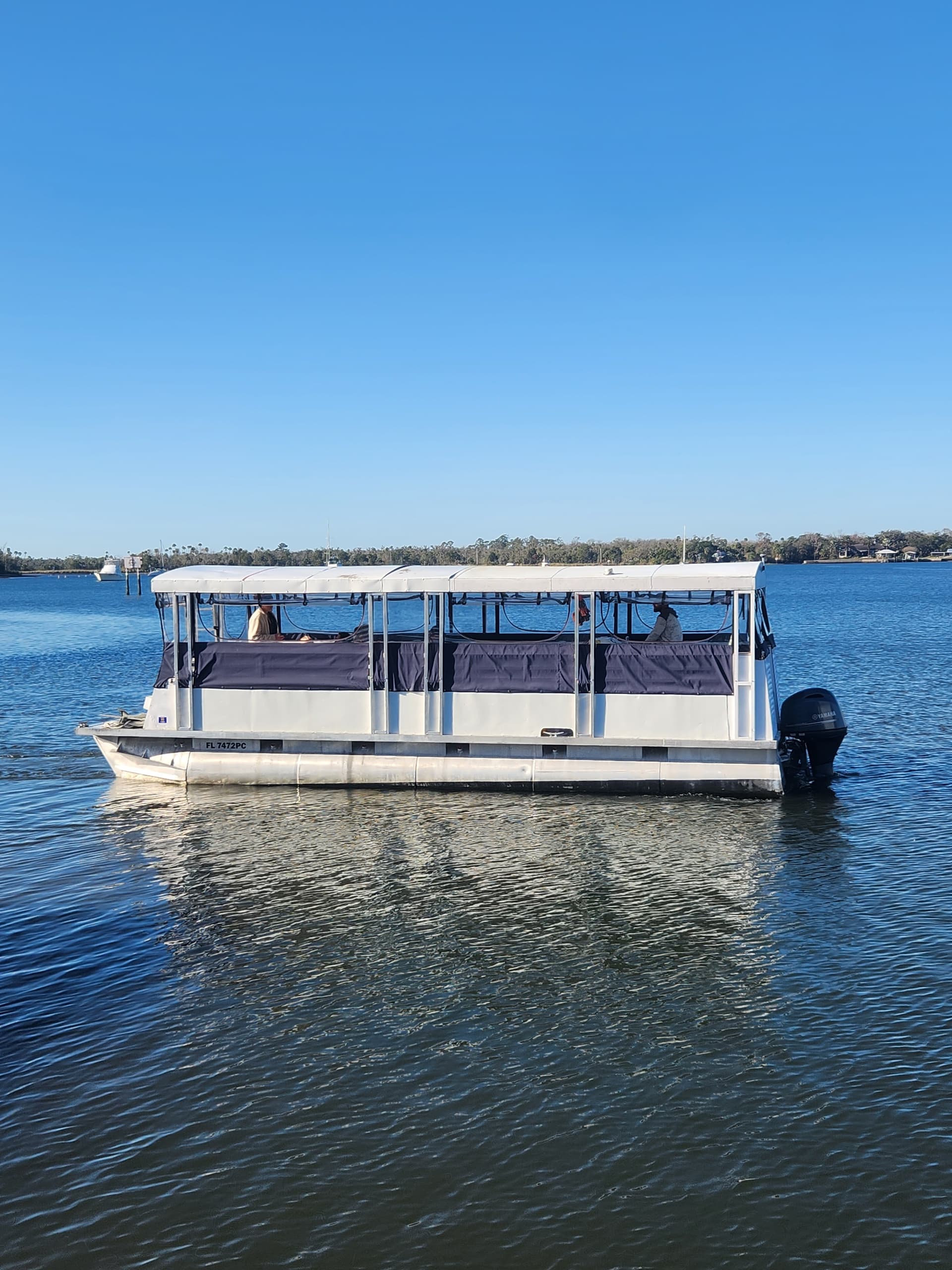 Afternoon Crystal River Eco Boat Tour