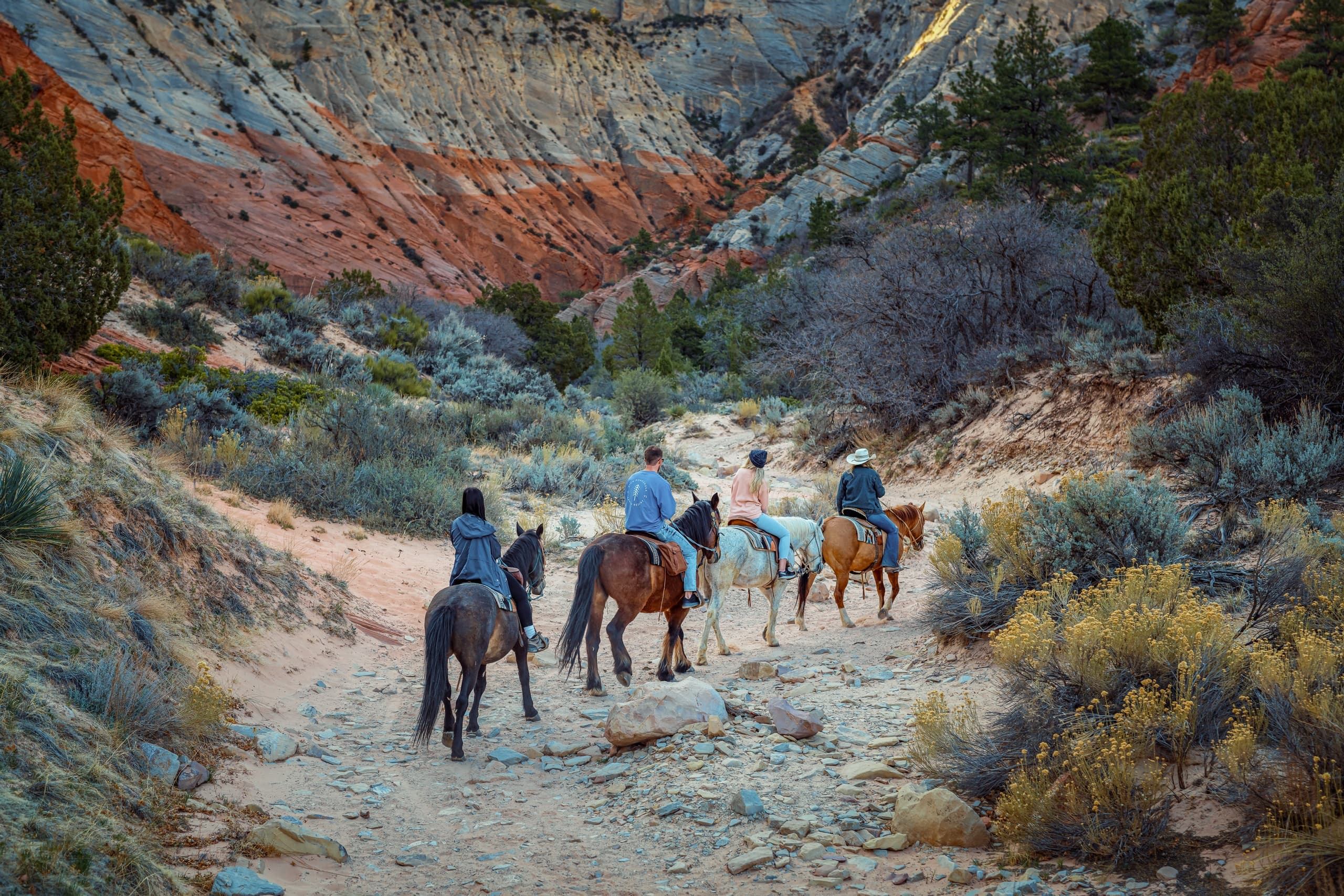 White Mountain Horseback Ride