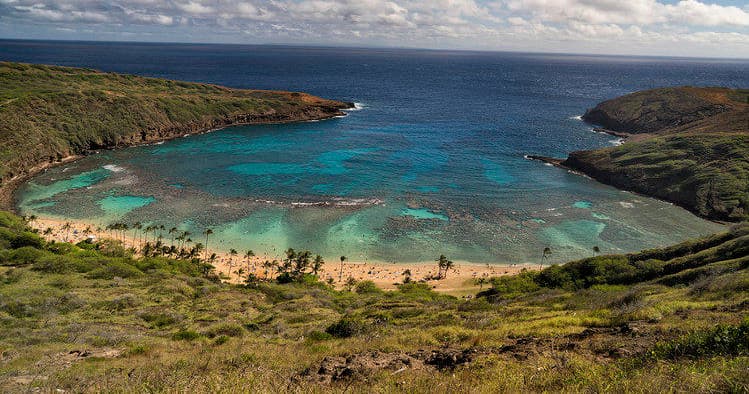 Private Tour - Best of Oahu Sightseeing