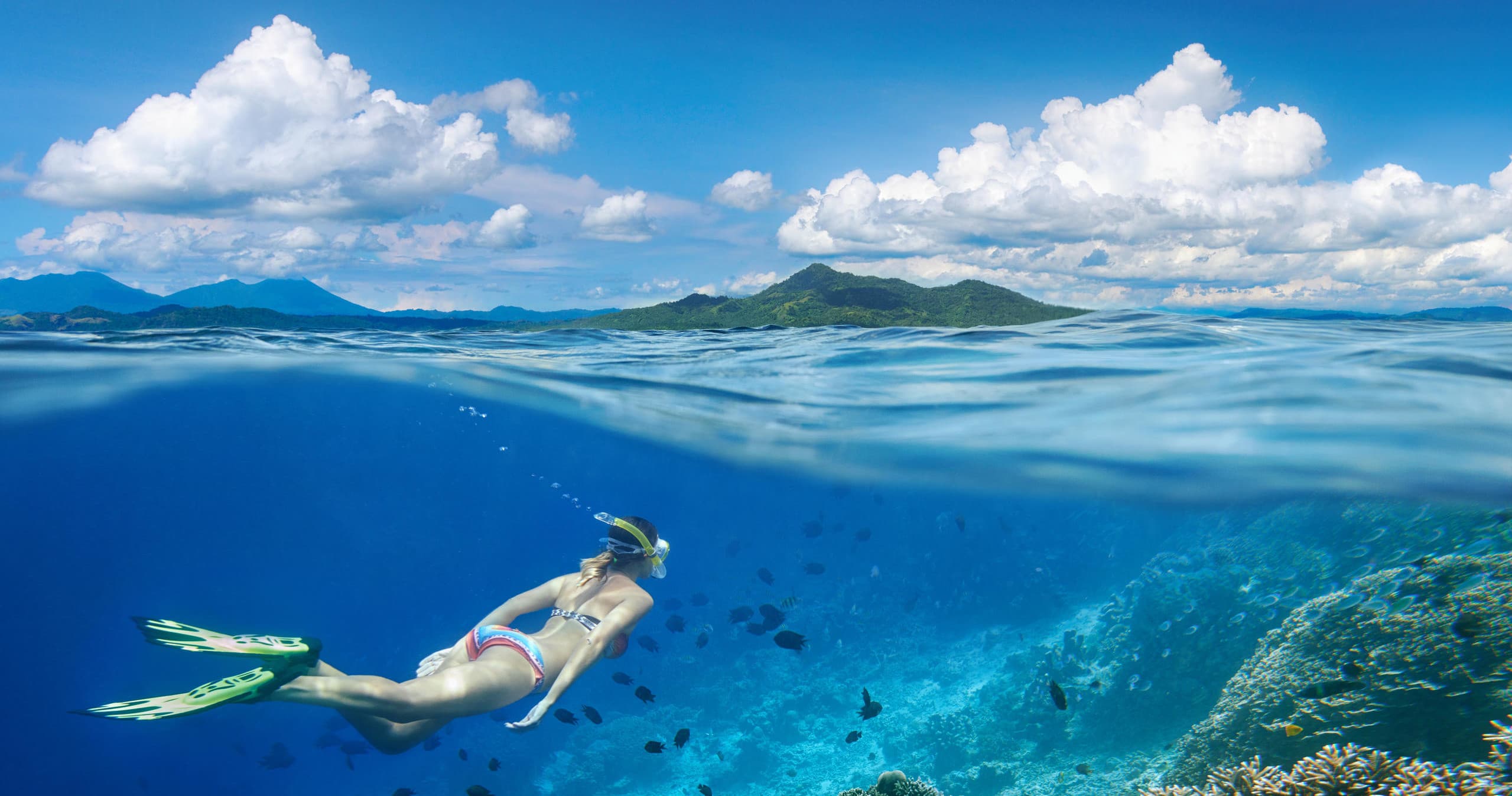 Discover Snorkeling