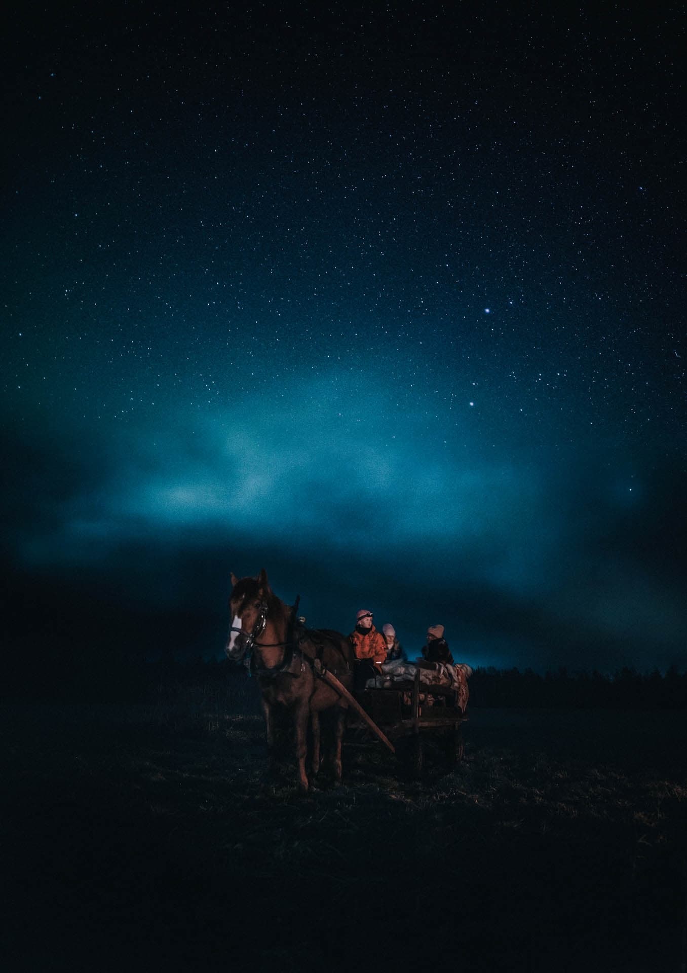 Horse Carriage Ride under the Night Sky