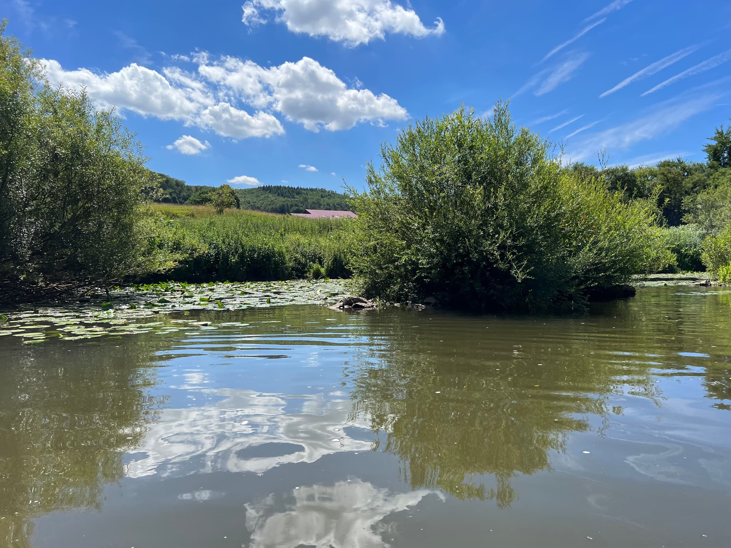 4-Tages-Kanutour: Weilburg bis Nassau