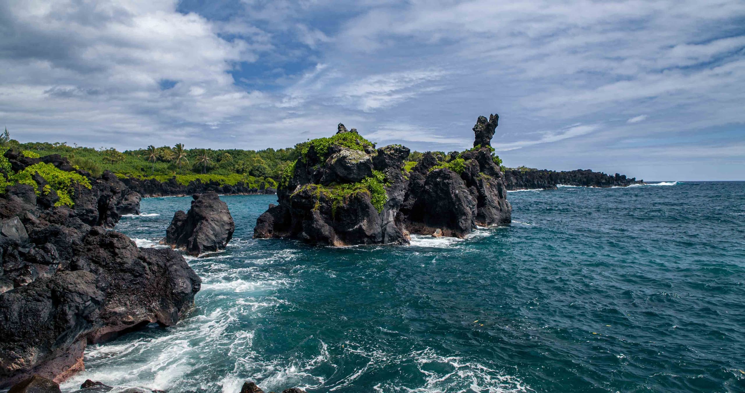Road to Hana Tour with Farm to Table lunch, Pickup & Drop off