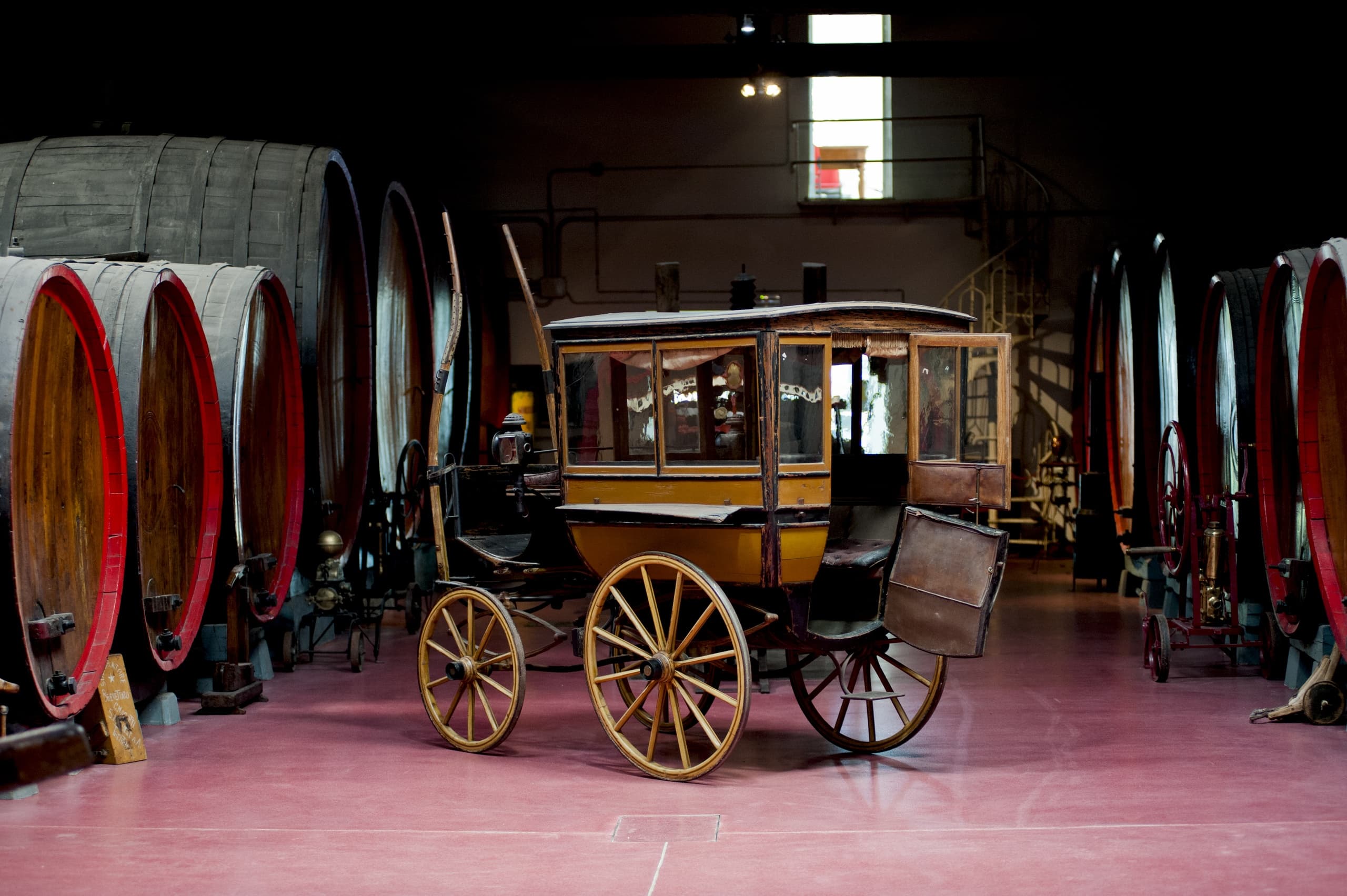 Modena: Visita guidata in cantina e degustazione di vini Lambrusco