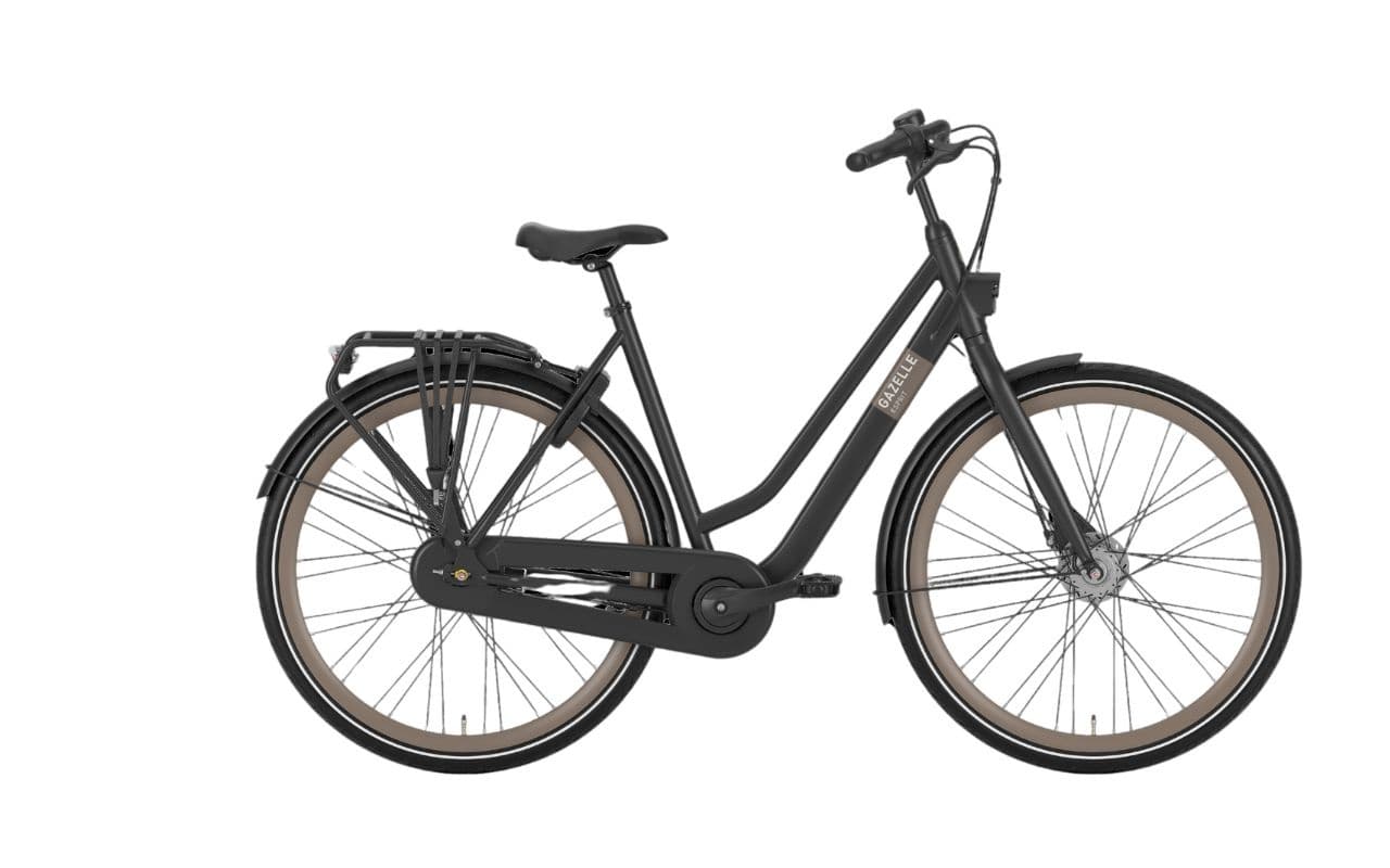 Classic Dutch Bike