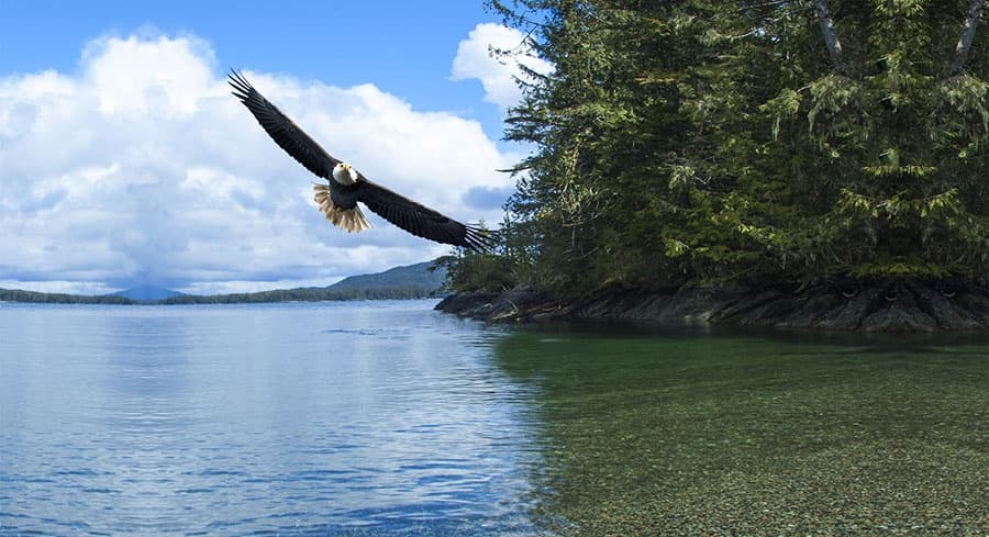 Custom Ketchikan Tour