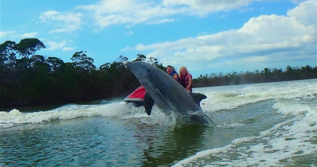 Marco Island Dolphin Jet Ski Tours