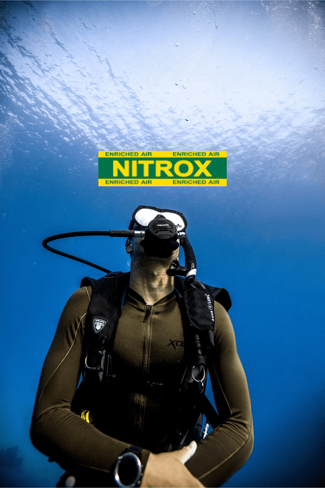 Guided Shore Dive