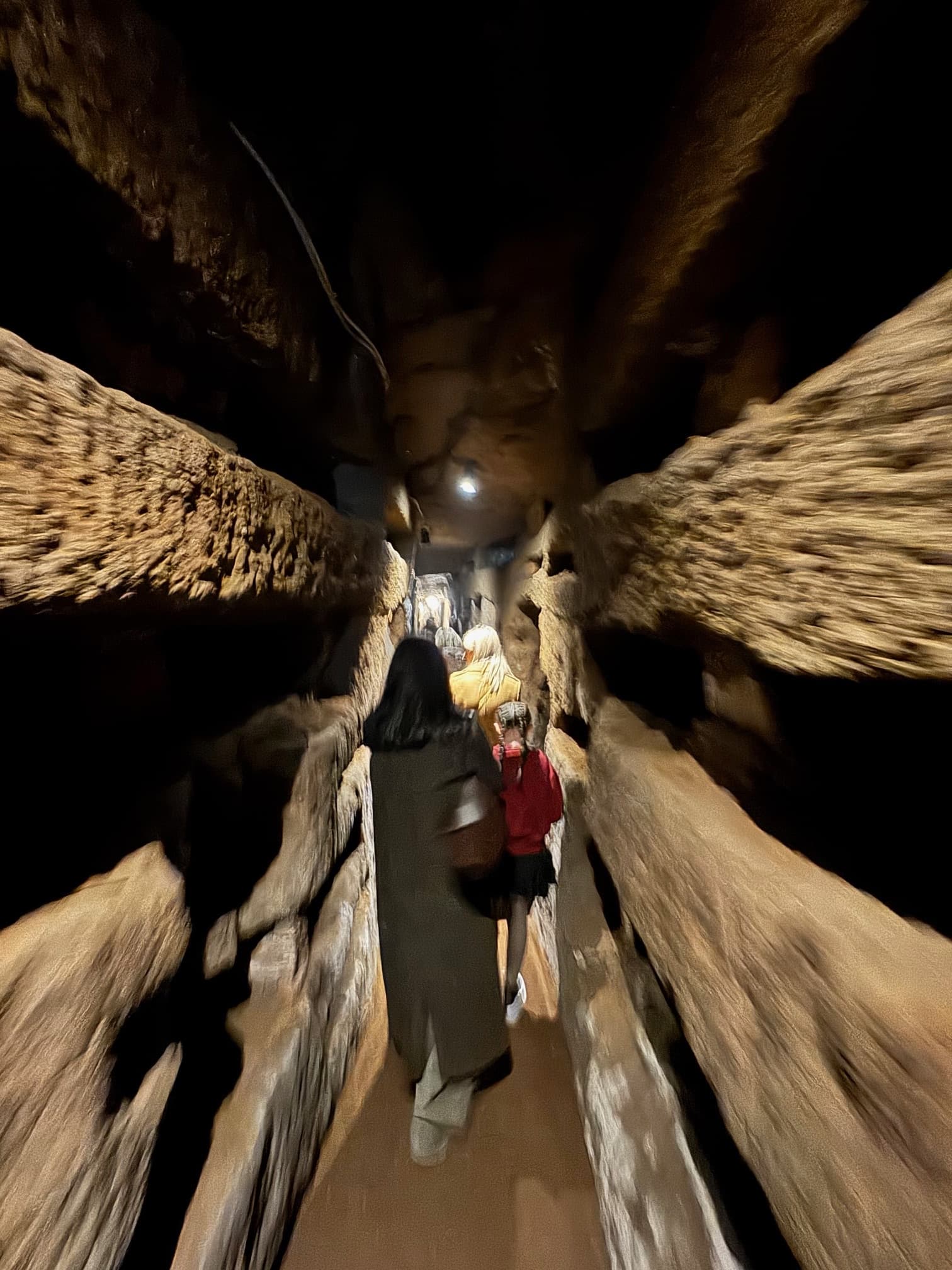 Rome: Catacombs of San Domitilla Guided Tour with Transfers