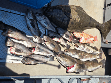 Rockfish and Lingcod Trip