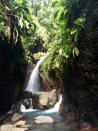 1/2 journée nature - Sur les Traces de Belle Hôtesse et Hauteurs de Sainte Rose