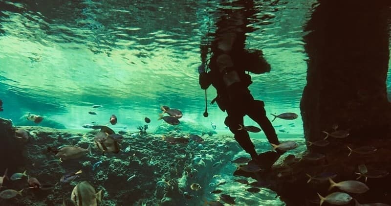 Dive Master Training Course