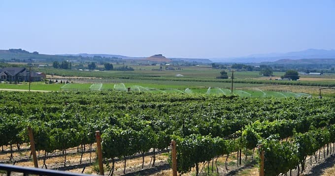 Private Wine Tour Groups 4 -10