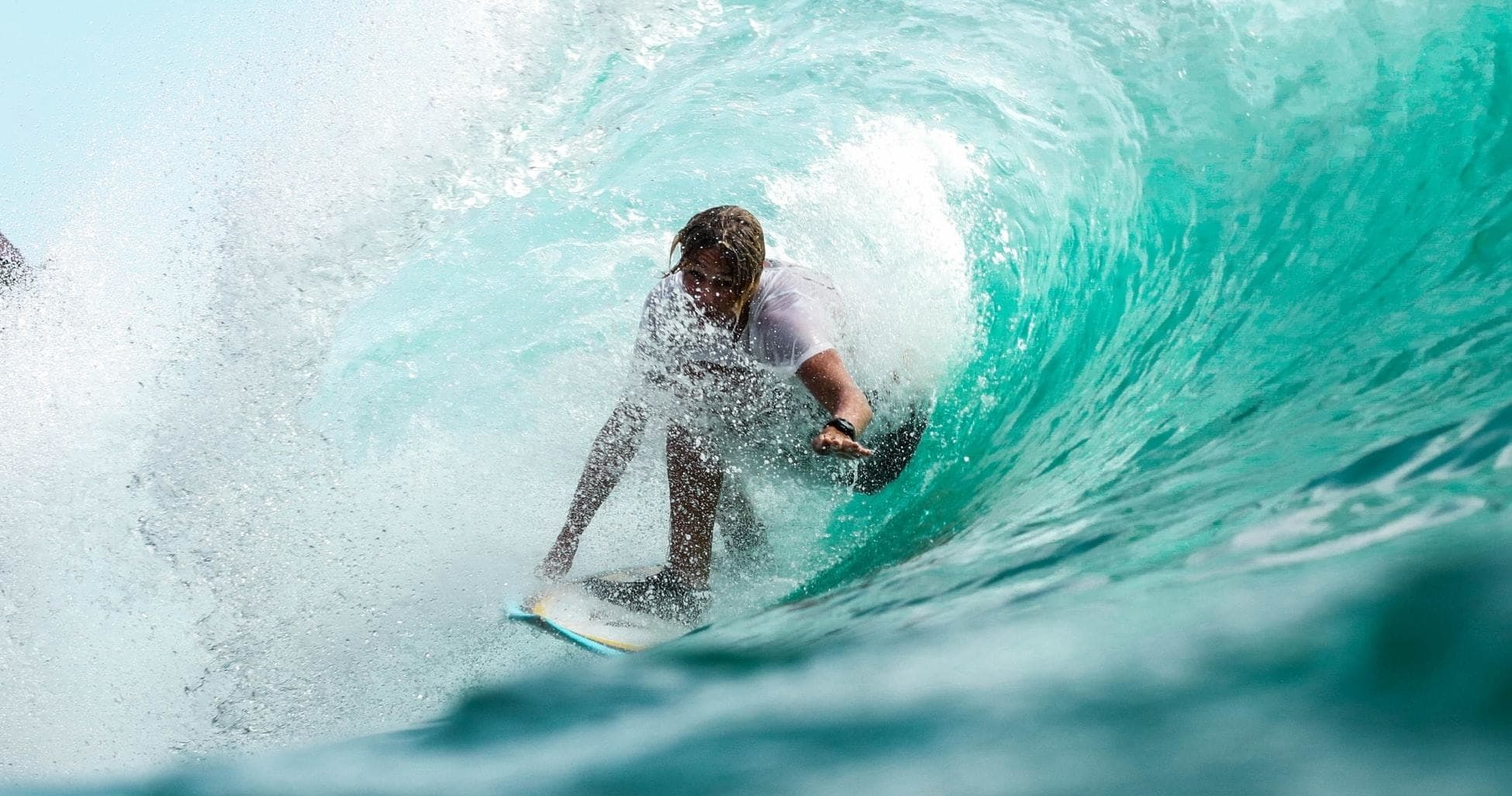 Shredder (6 lessons)
