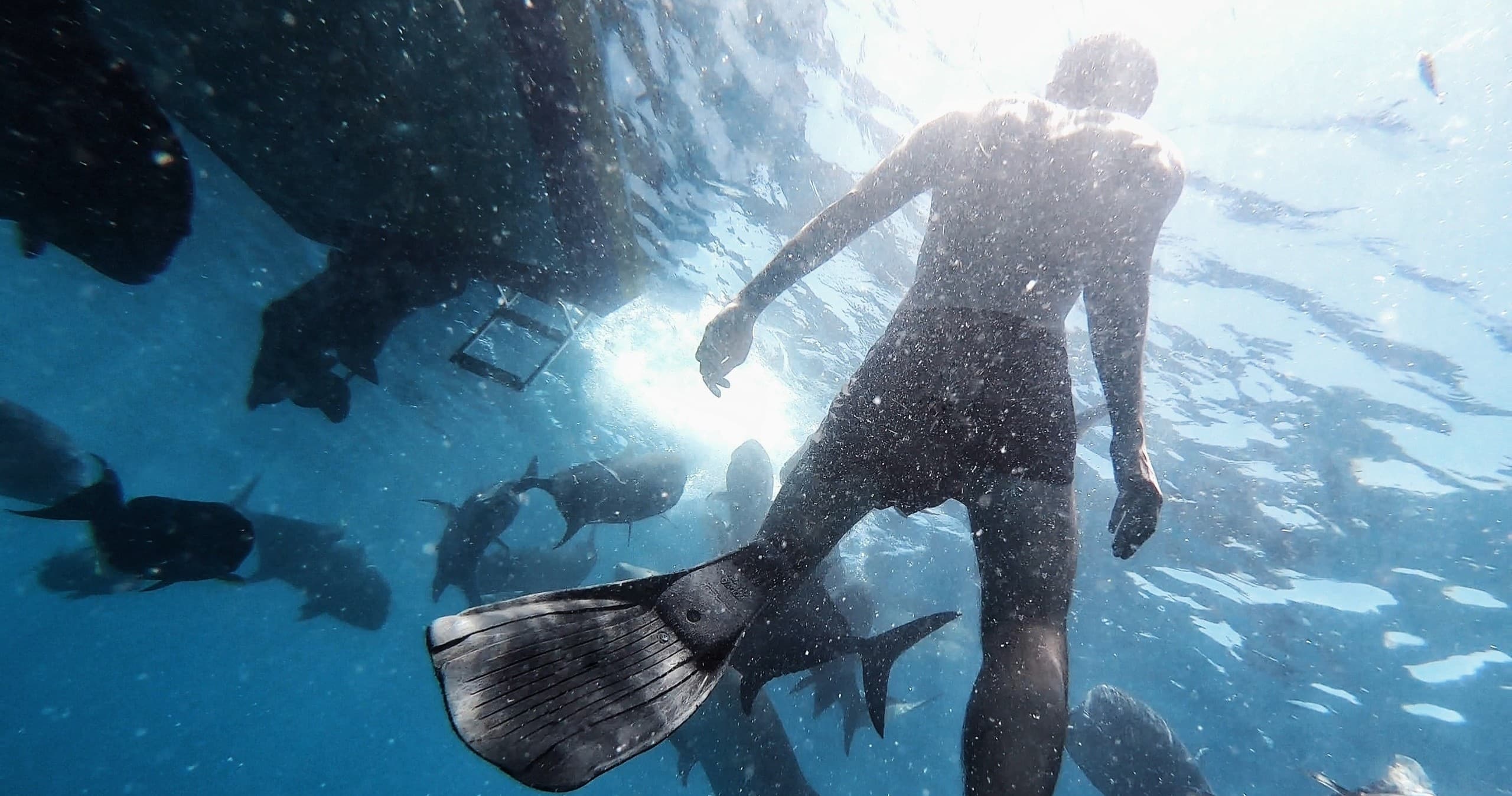 Fishing & Snorkeling Combo