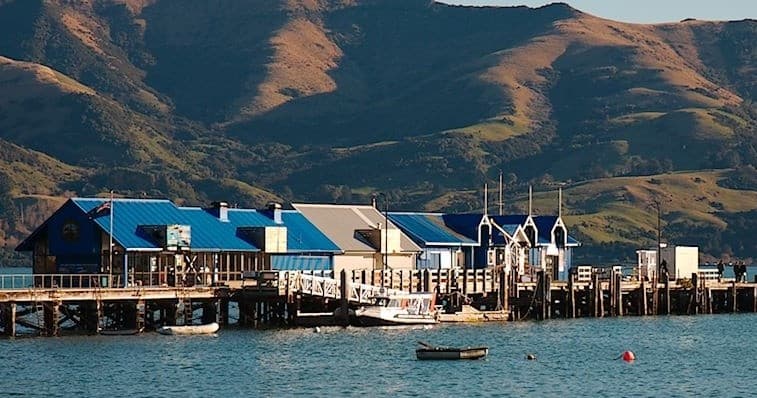 Akaroa Harbour Plus
