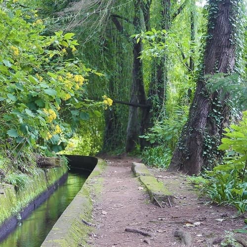 Curral dos Romeiros - Casa de Chá
