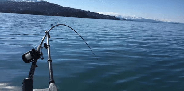Halibut Salmon Combo Charter