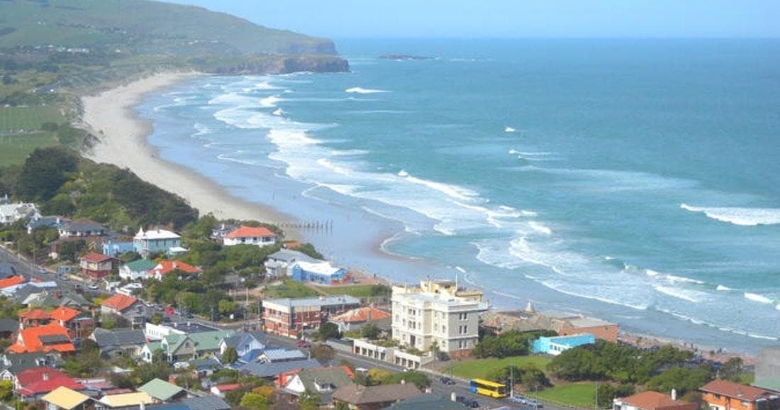 Private Guided Tour of Dunedin City Heritage and Unique Wildlife and Scenery