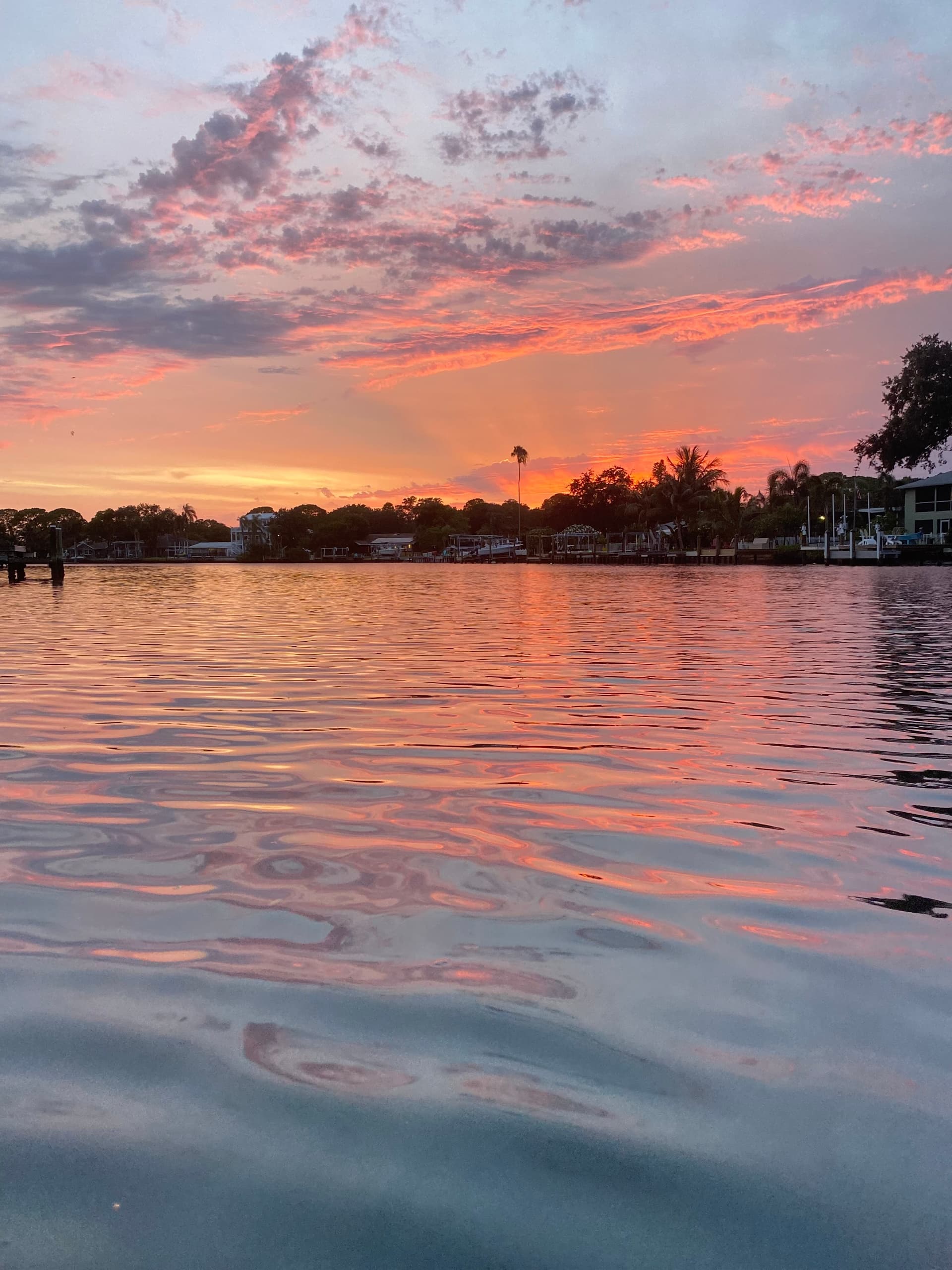 Sunset\Dolphin Tour