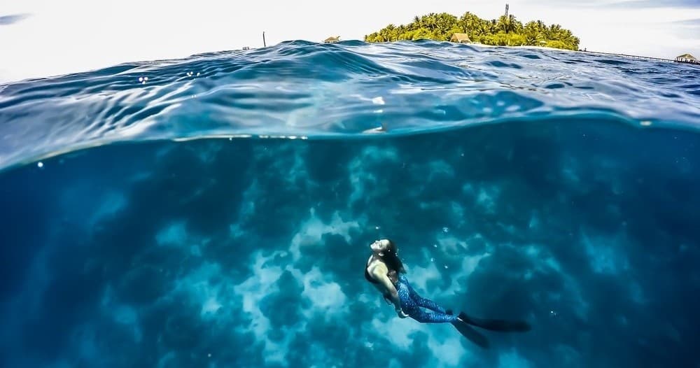 Freediving Charter