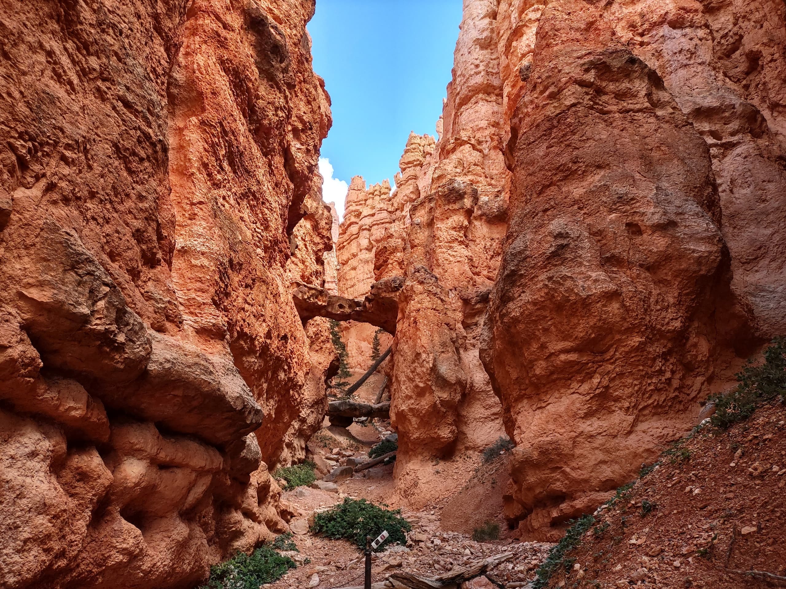 Hiking: Bryce Canyon National Park
