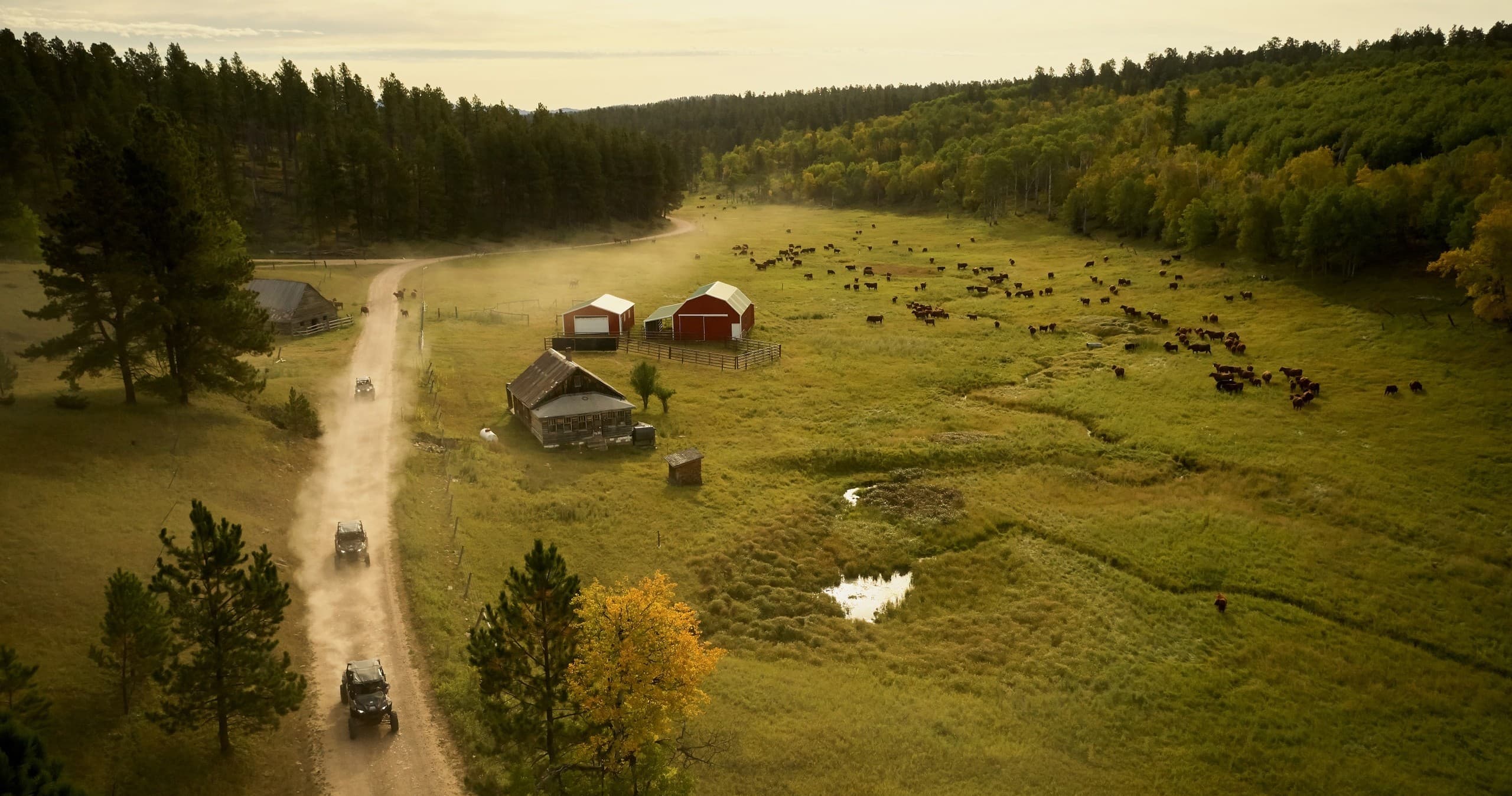 Stay and Play Package Deal • Off-Road