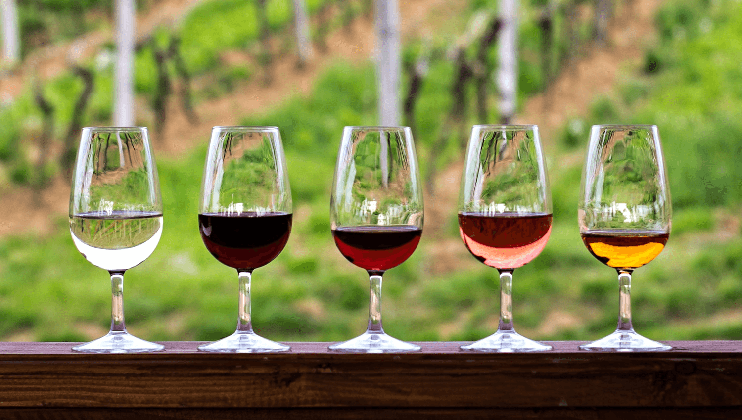 Blendings Wine Experience