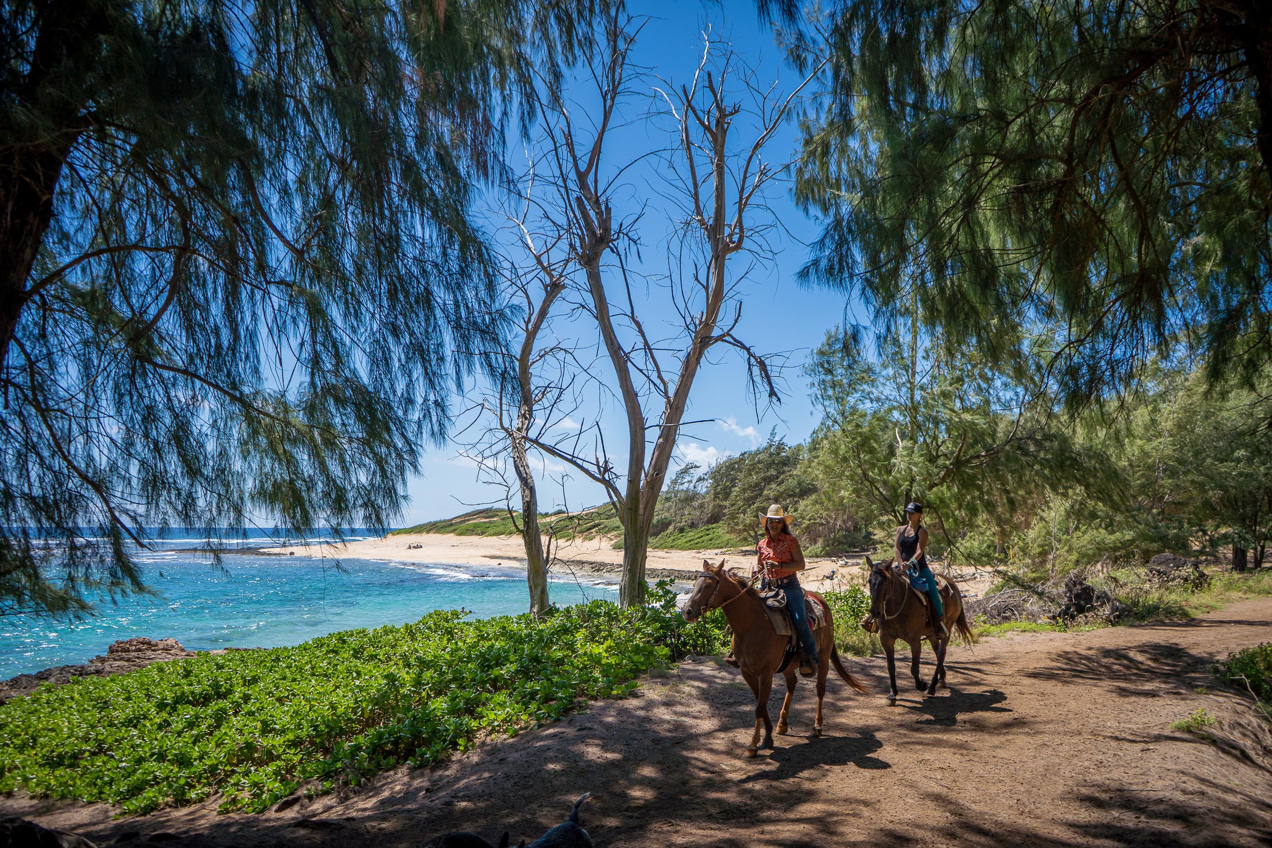 Secret Beach Picnic Ride