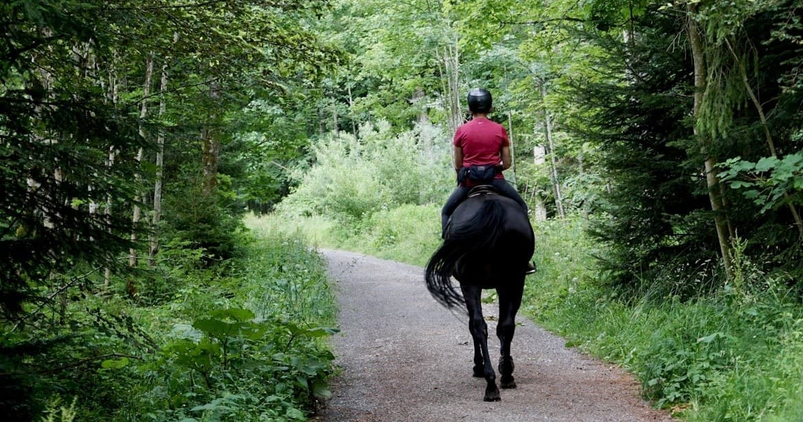 One Hour Group Riding Lessons