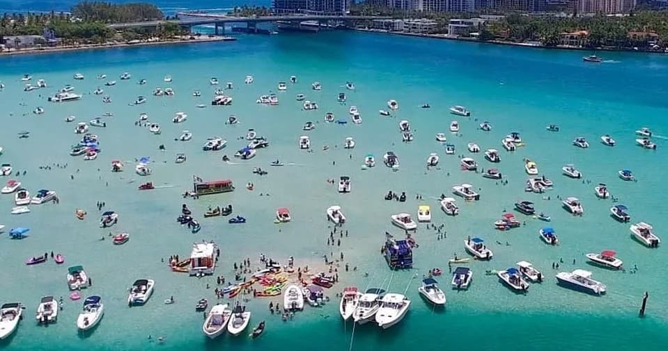 Miami (Haulover) Sandbar Cruise and Day Trip