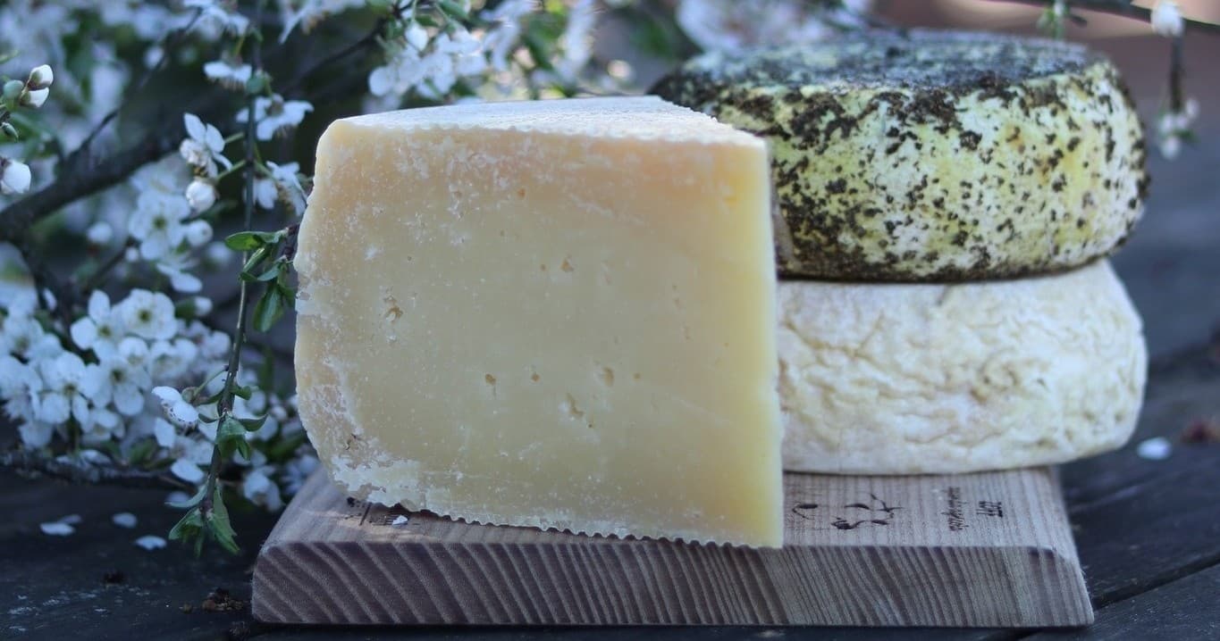 Exclusive Organic Cheese Tasting