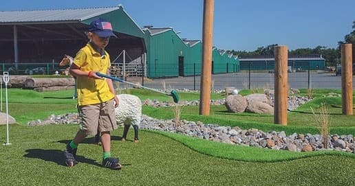 Adventure Minigolf: Familienkarten