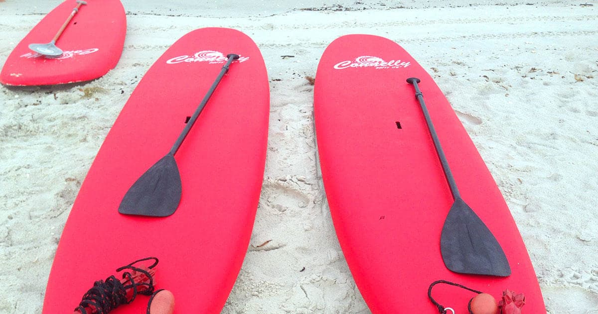 One Hour Paddle Board Rental
