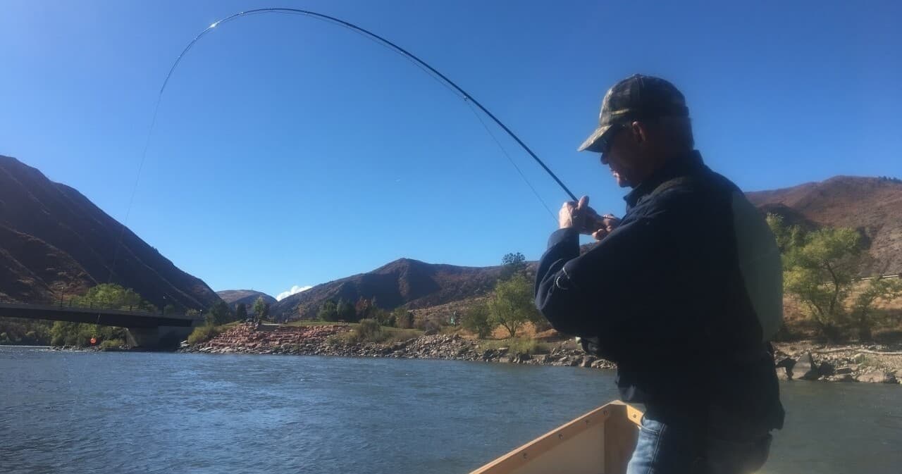 Learn to Fly Fish