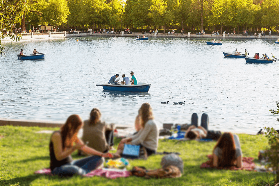 Picnic Madrid Experience - Actividades al aire libre en Madrid